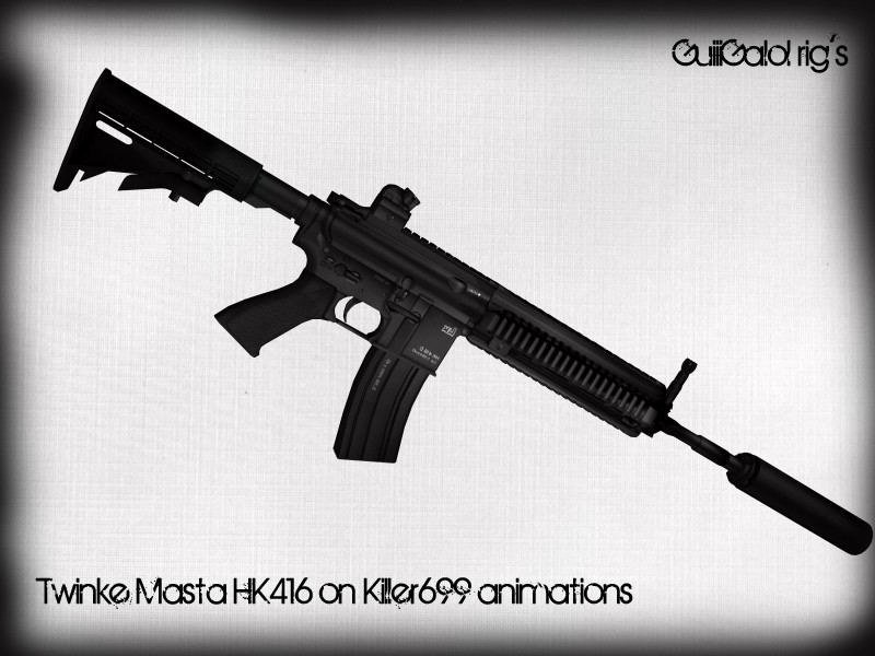 Twinke Masta HK416 on Killer699 anims.