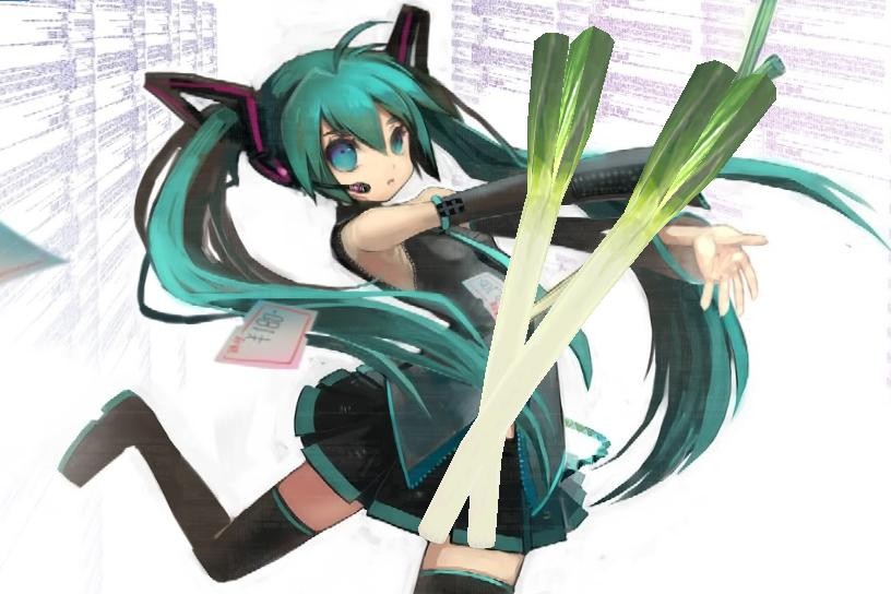 Leek for Knife