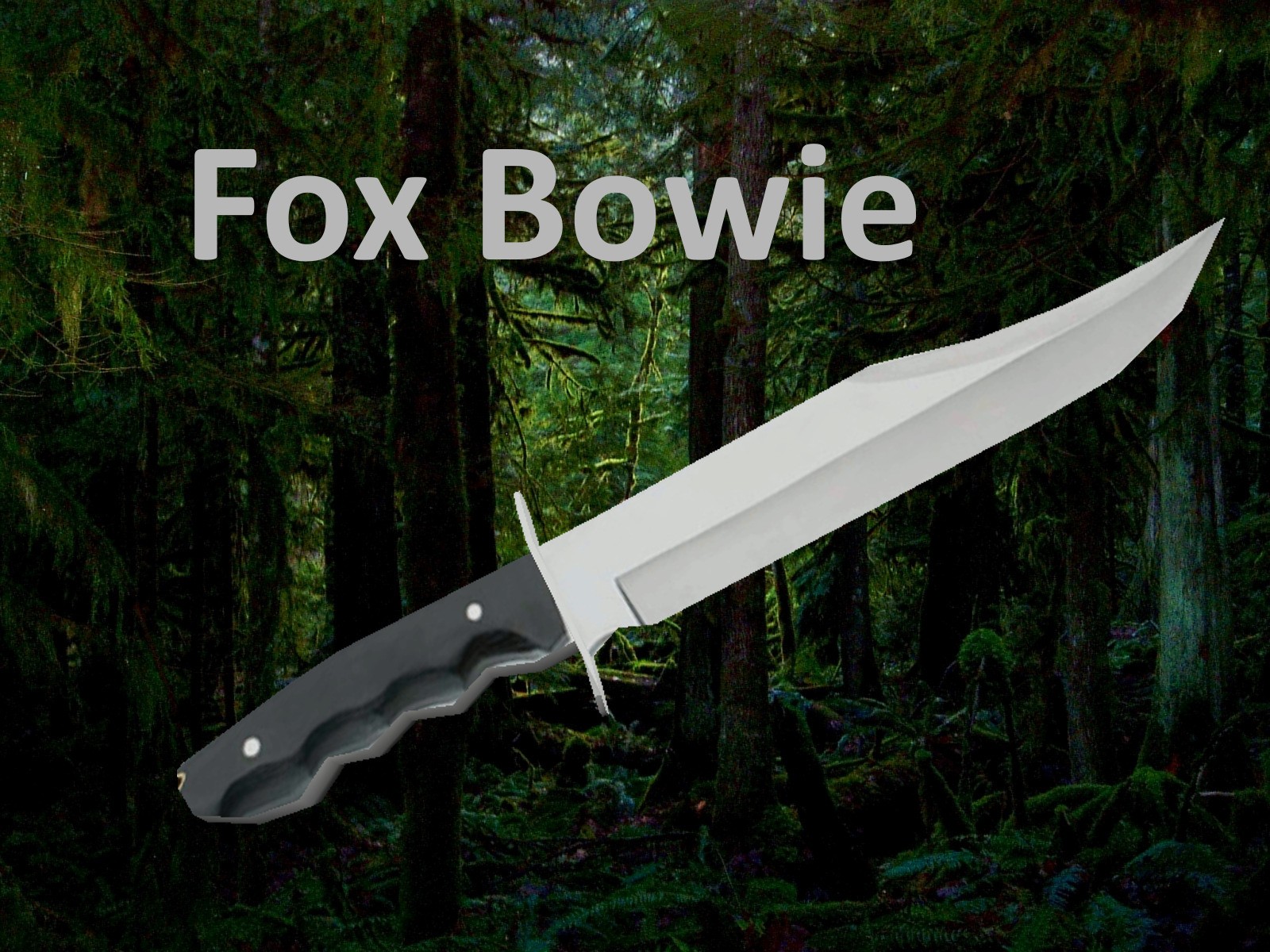 Fox Bowie