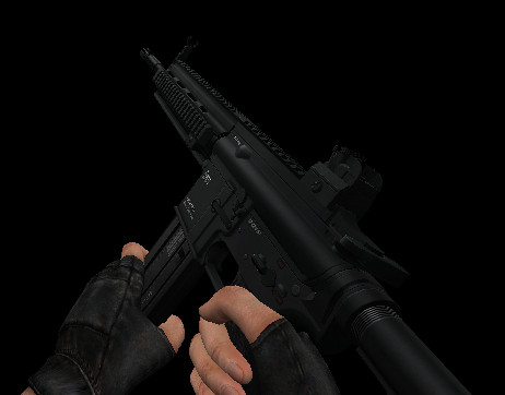 HK416 On Lynx9810