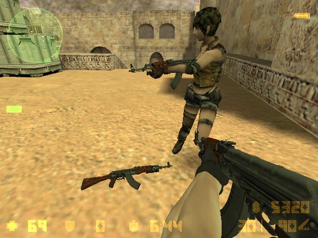 AK 47 L4D Animations