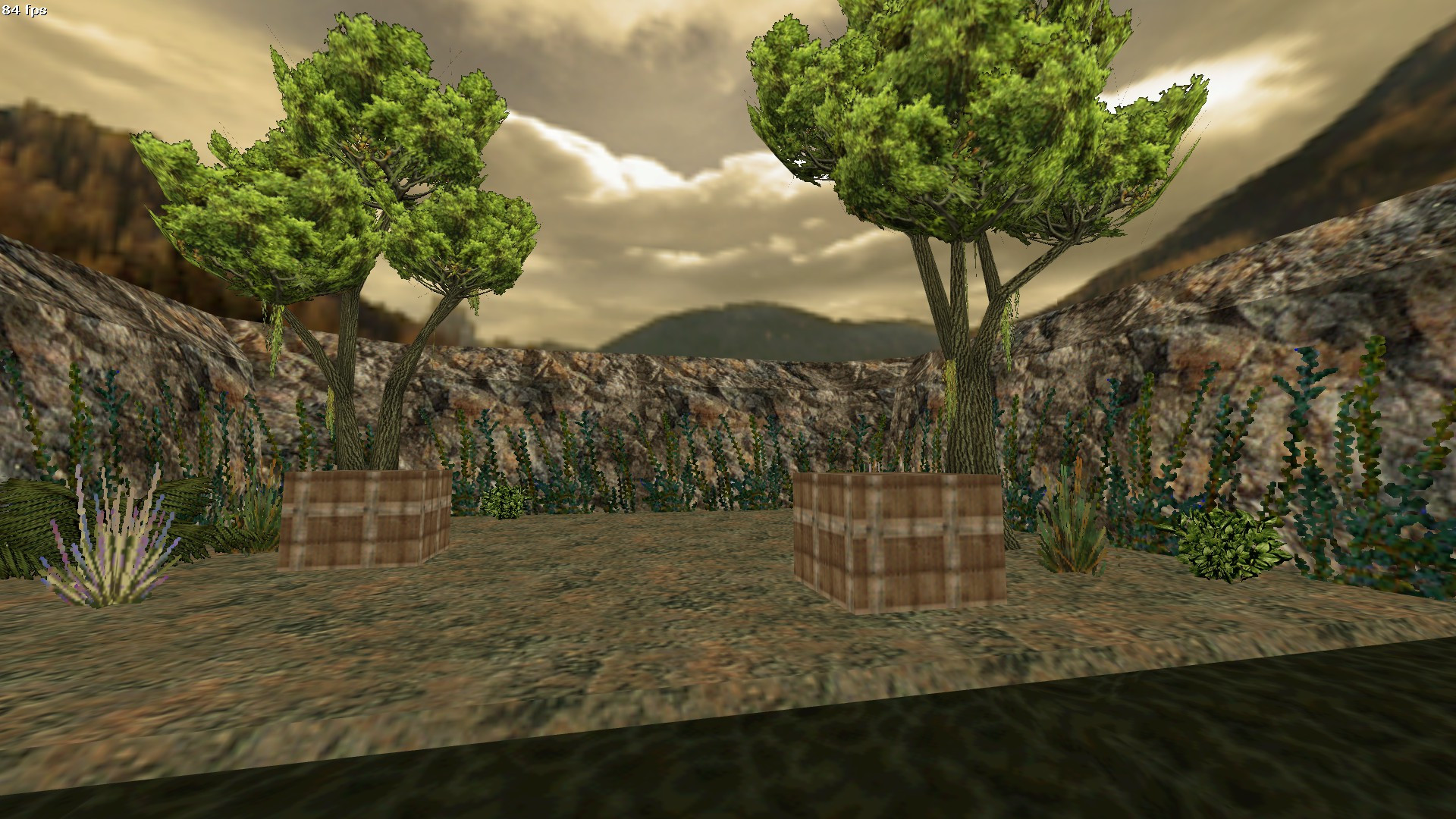 aim_rainforest