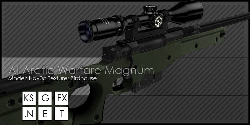 Hav0c's AWP On Mak3ttaja Animations