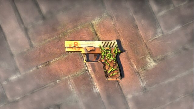 Default Sig_P228 inferno on MW2019 Anims