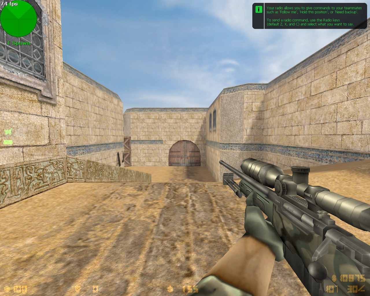 AWP Army Camo