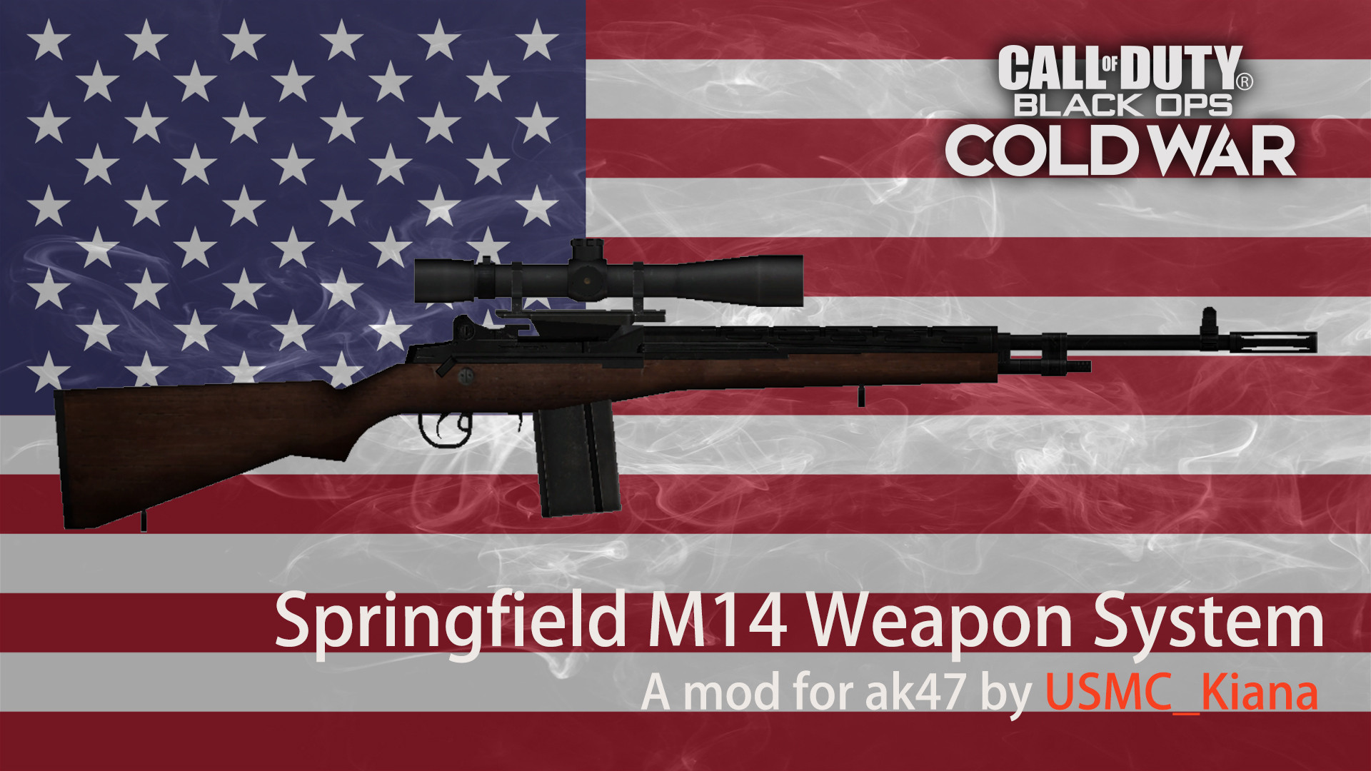 Springfield M14 Weapon System on BOCW Animation