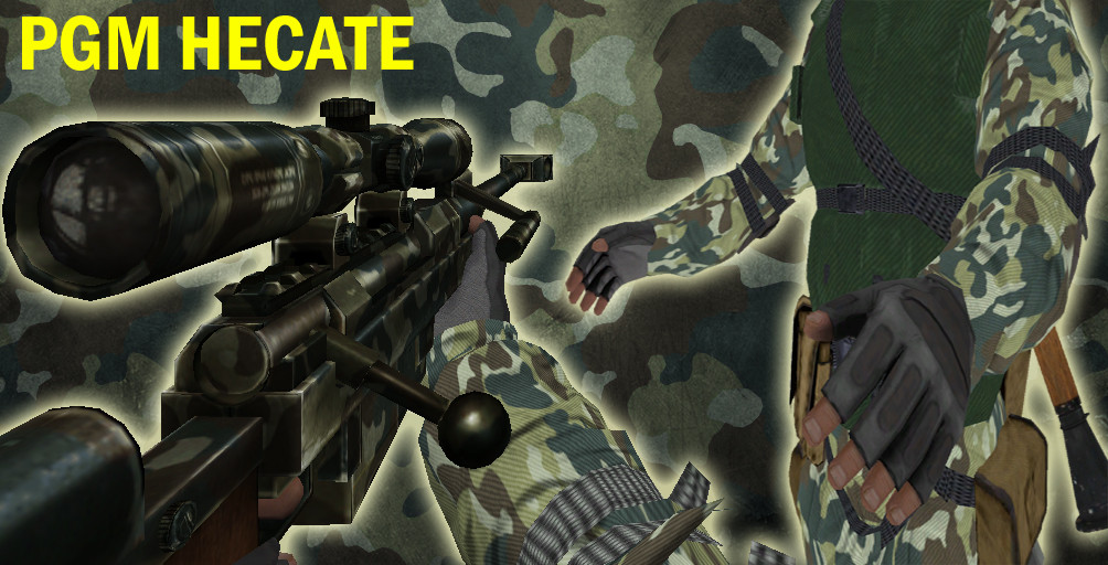 PGM Hecate with BF:BC2 Hand Rig