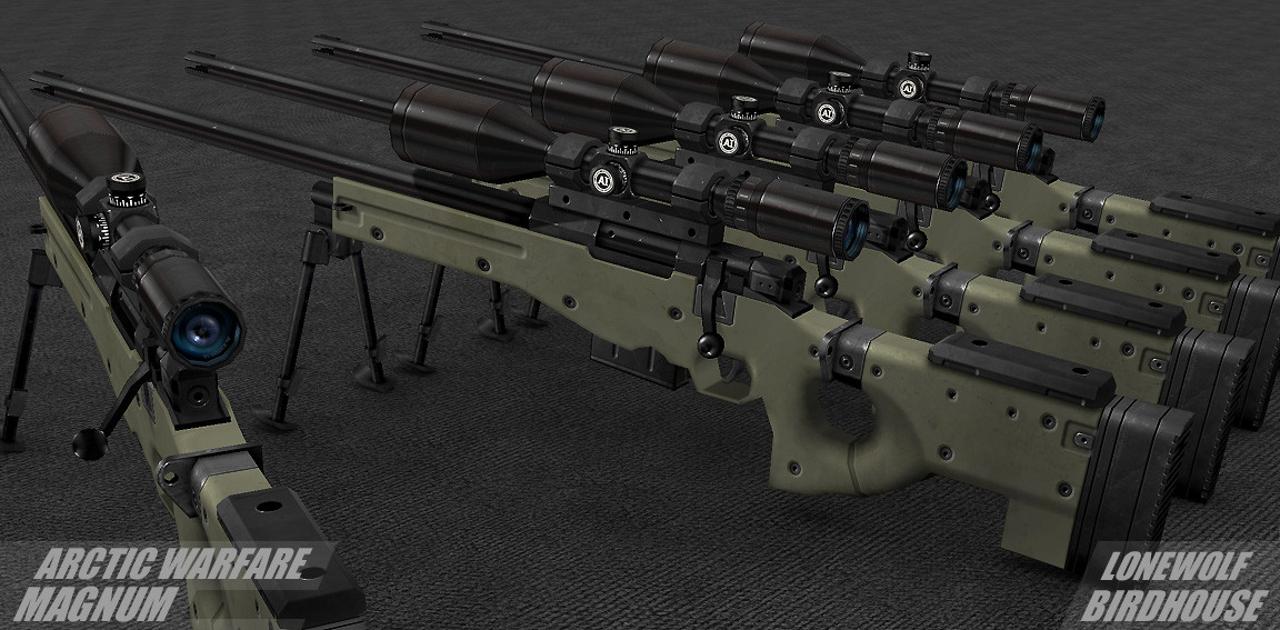 Arctic Warfare Magnum