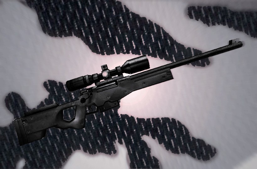 Gooseman's Black AWP
